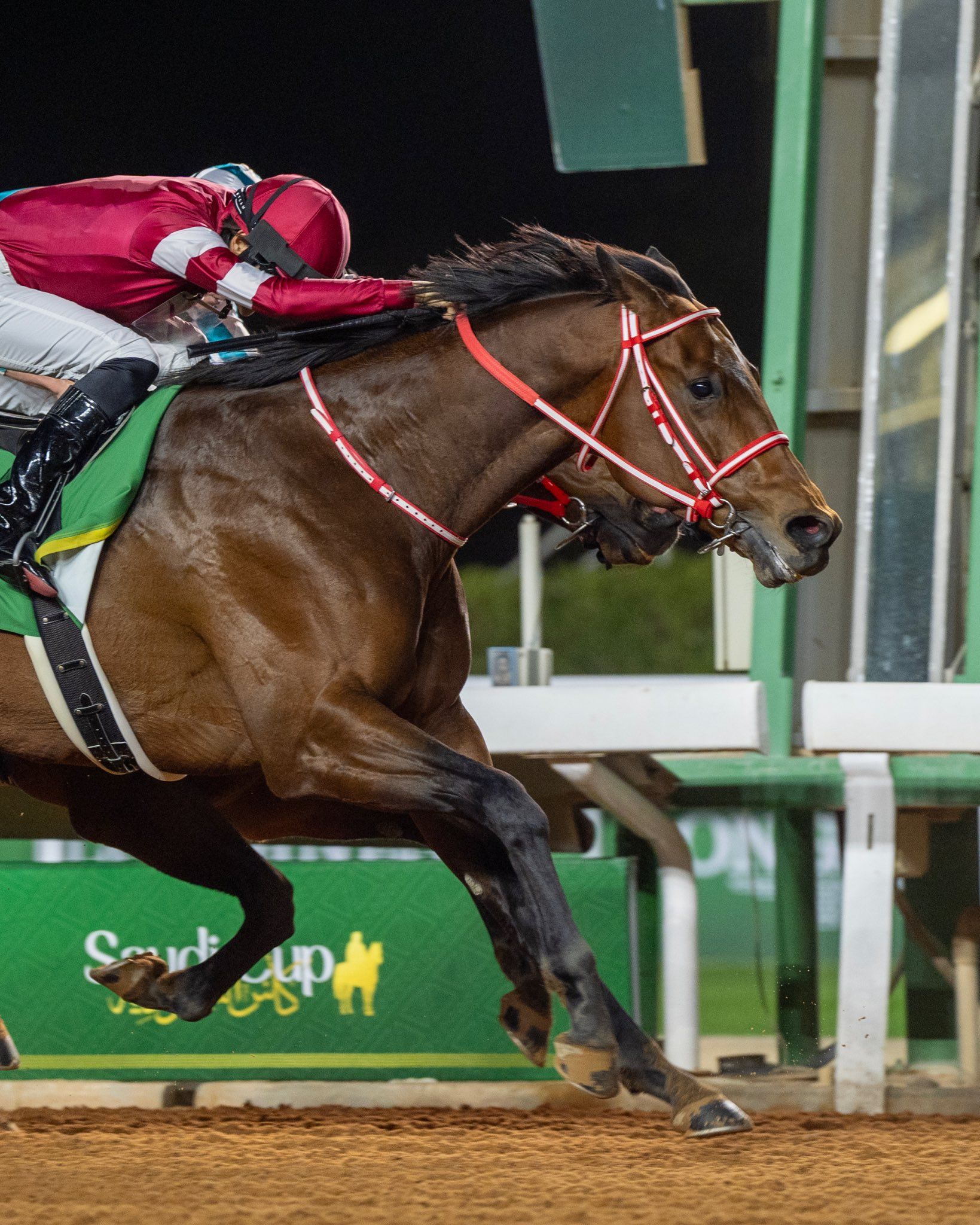 Winner under the floodlights at the Saudi Cup meeting