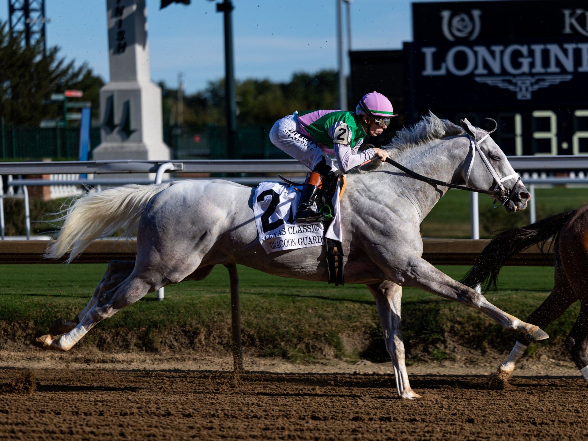 Grey horse striding out on the dirt