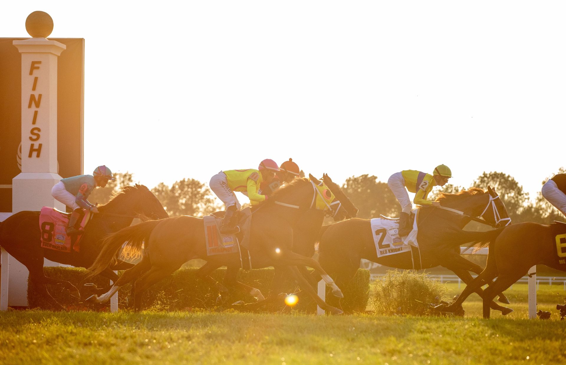 Horses passing the finish post in low evening sun
